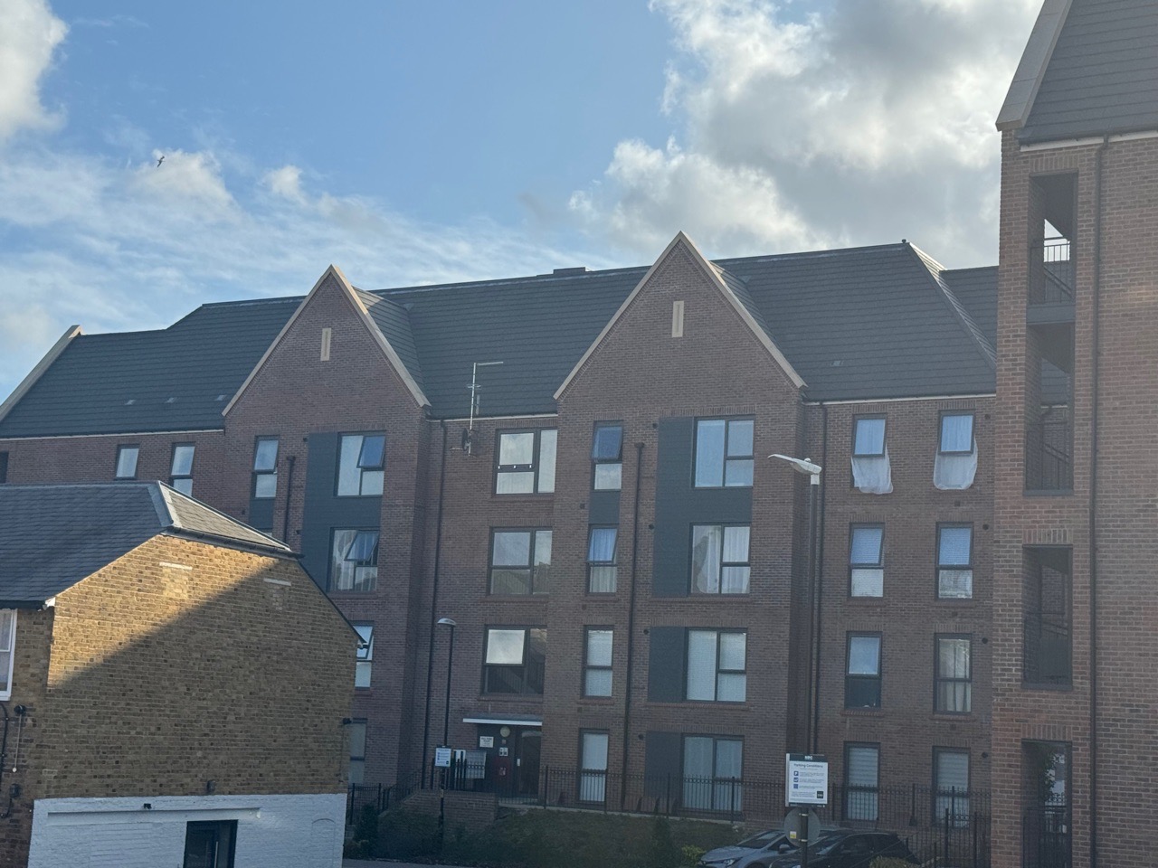 Springfield Maidstone