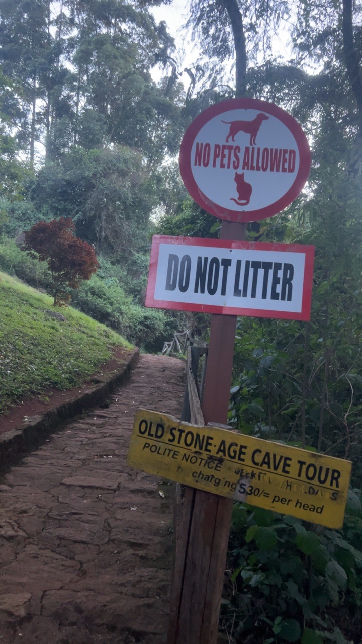 Paradise Lost Nairobi
