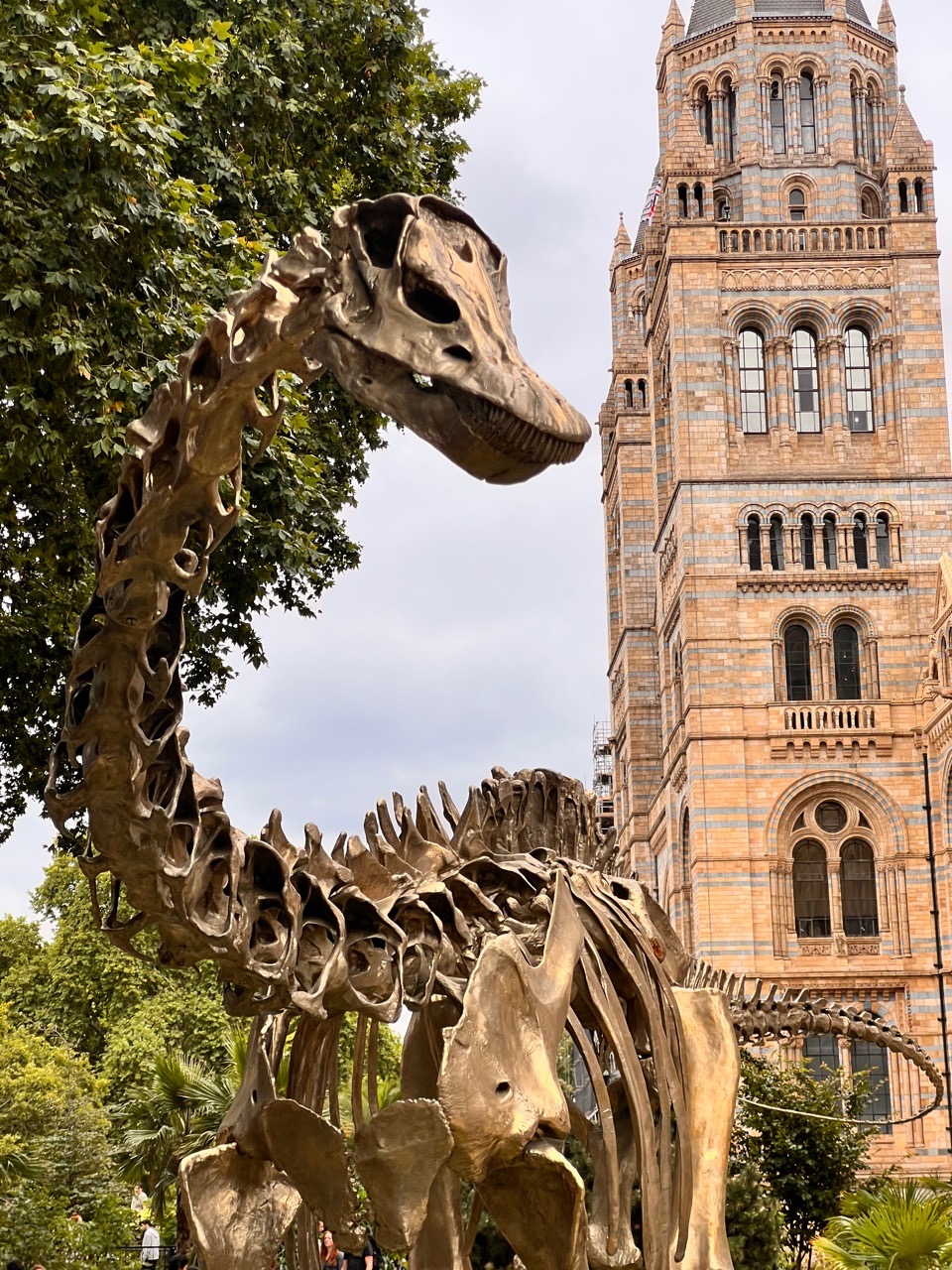 Natural History Musuem